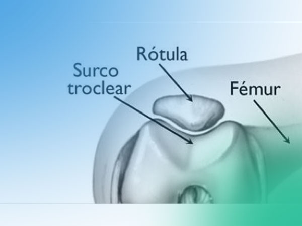 Descubre la anatomía y biomecánica de la articulación femoropatelar