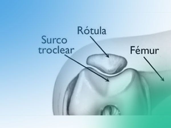 Descubre la anatomía y biomecánica de la articulación femoropatelar